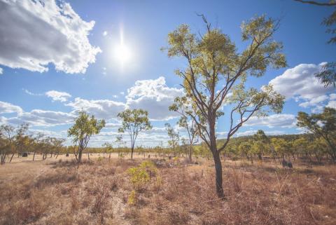 Beautiful landscape in Olkola Country in the Queensland Outback